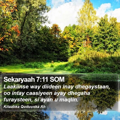 Sekaryaah 7:11 SOM Bible Verse Image