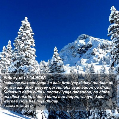 Sekaryaah 7:14 SOM Bible Verse Image