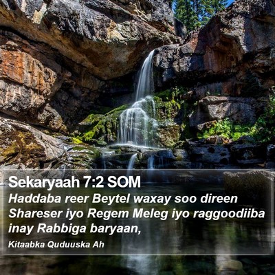 Sekaryaah 7:2 SOM Bible Verse Image