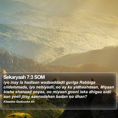 Sekaryaah 7:3 SOM Bible Verse Image