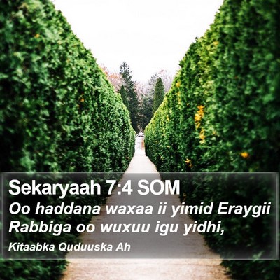 Sekaryaah 7:4 SOM Bible Verse Image