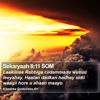 Sekaryaah 8:11 SOM Bible Verse Image