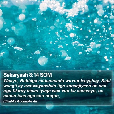 Sekaryaah 8:14 SOM Bible Verse Image