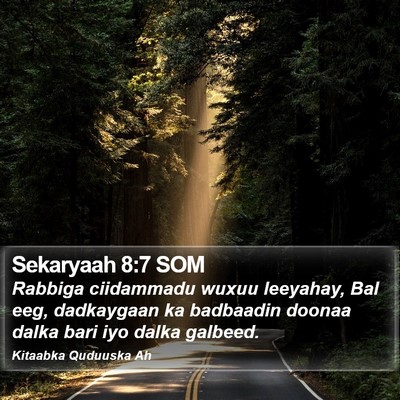 Sekaryaah 8:7 SOM Bible Verse Image