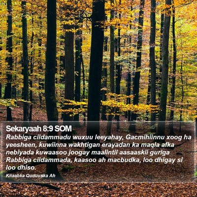 Sekaryaah 8:9 SOM Bible Verse Image