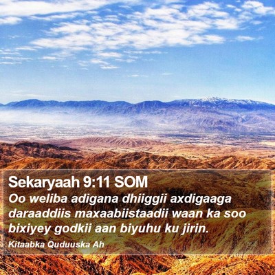 Sekaryaah 9:11 SOM Bible Verse Image