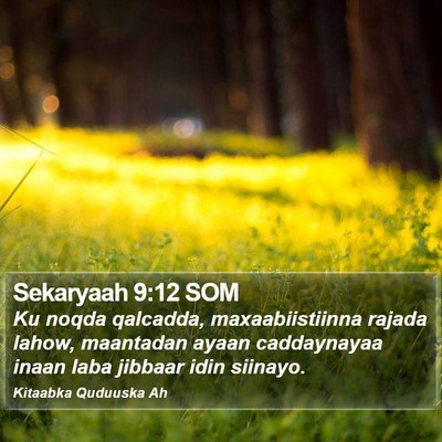 Sekaryaah 9:12 SOM Bible Verse Image