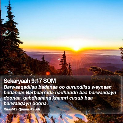 Sekaryaah 9:17 SOM Bible Verse Image