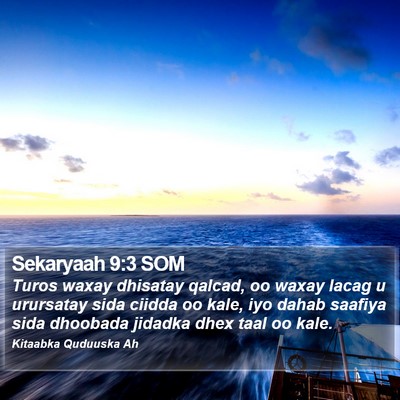 Sekaryaah 9:3 SOM Bible Verse Image