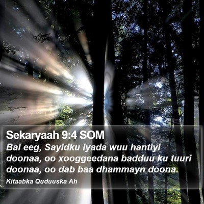 Sekaryaah 9:4 SOM Bible Verse Image
