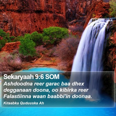 Sekaryaah 9:6 SOM Bible Verse Image