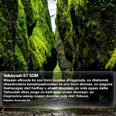 Sekaryaah 9:7 SOM Bible Verse Image