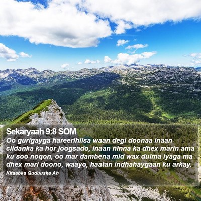 Sekaryaah 9:8 SOM Bible Verse Image