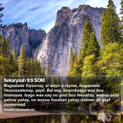 Sekaryaah 9:9 SOM Bible Verse Image