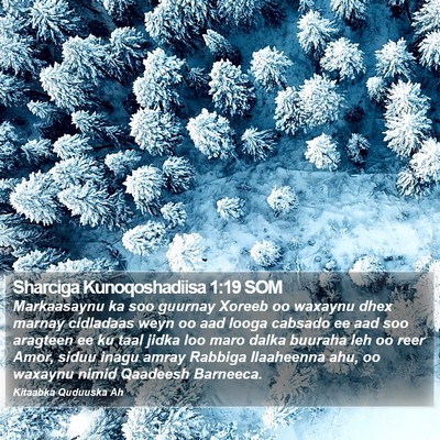 Sharciga Kunoqoshadiisa 1:19 SOM Bible Verse Image