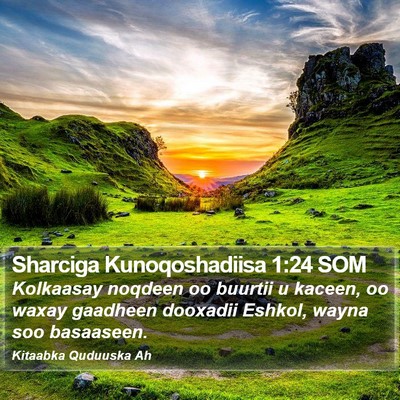 Sharciga Kunoqoshadiisa 1:24 SOM Bible Verse Image