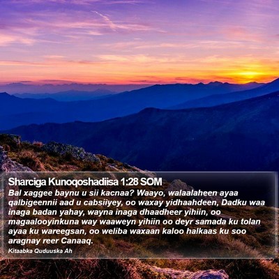 Sharciga Kunoqoshadiisa 1:28 SOM Bible Verse Image