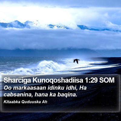 Sharciga Kunoqoshadiisa 1:29 SOM Bible Verse Image