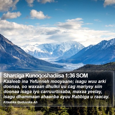 Sharciga Kunoqoshadiisa 1:36 SOM Bible Verse Image
