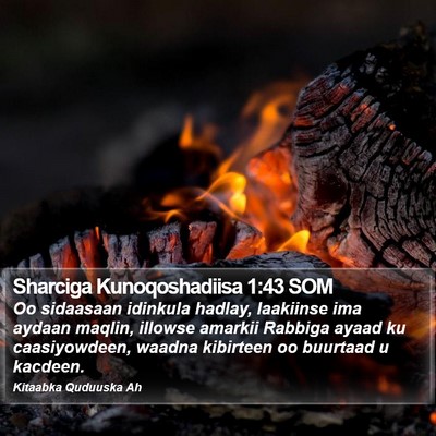 Sharciga Kunoqoshadiisa 1:43 SOM Bible Verse Image