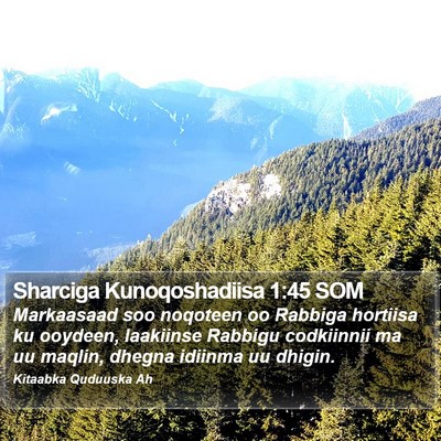 Sharciga Kunoqoshadiisa 1:45 SOM Bible Verse Image