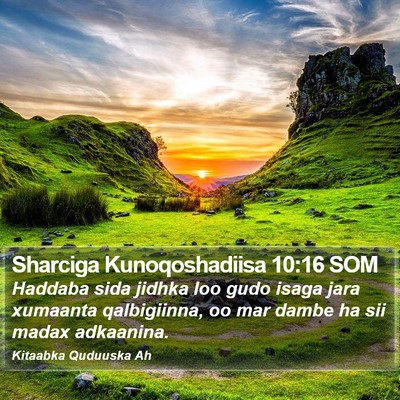 Sharciga Kunoqoshadiisa 10:16 SOM Bible Verse Image