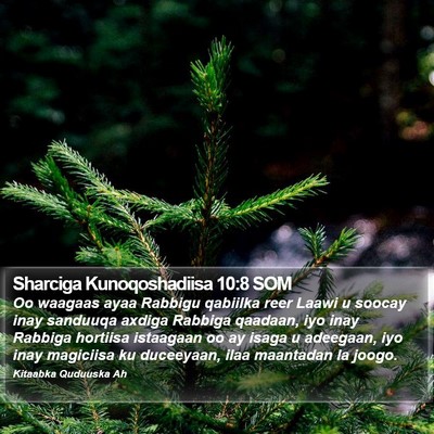 Sharciga Kunoqoshadiisa 10:8 SOM Bible Verse Image