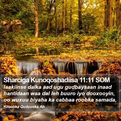 Sharciga Kunoqoshadiisa 11:11 SOM Bible Verse Image