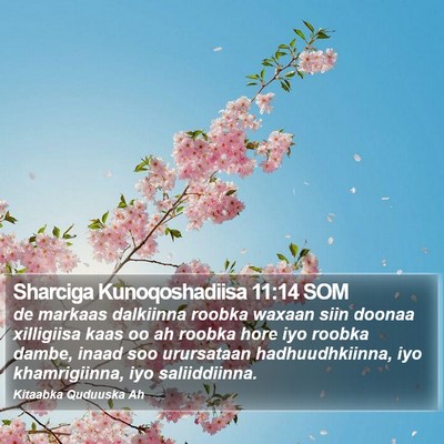 Sharciga Kunoqoshadiisa 11:14 SOM Bible Verse Image