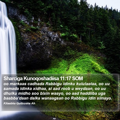 Sharciga Kunoqoshadiisa 11:17 SOM Bible Verse Image