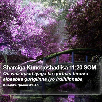 Sharciga Kunoqoshadiisa 11:20 SOM Bible Verse Image