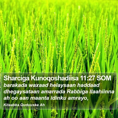 Sharciga Kunoqoshadiisa 11:27 SOM Bible Verse Image