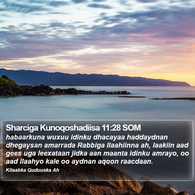 Sharciga Kunoqoshadiisa 11:28 SOM Bible Verse Image