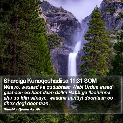 Sharciga Kunoqoshadiisa 11:31 SOM Bible Verse Image