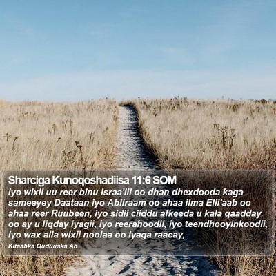 Sharciga Kunoqoshadiisa 11:6 SOM Bible Verse Image