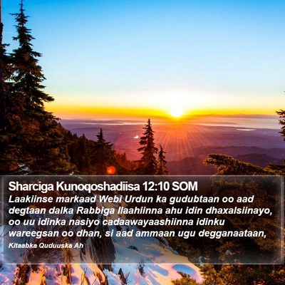 Sharciga Kunoqoshadiisa 12:10 SOM Bible Verse Image