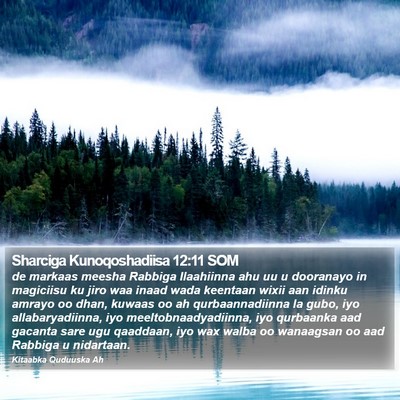 Sharciga Kunoqoshadiisa 12:11 SOM Bible Verse Image