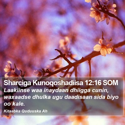 Sharciga Kunoqoshadiisa 12:16 SOM Bible Verse Image