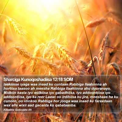 Sharciga Kunoqoshadiisa 12:18 SOM Bible Verse Image