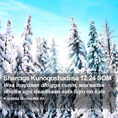 Sharciga Kunoqoshadiisa 12:24 SOM Bible Verse Image