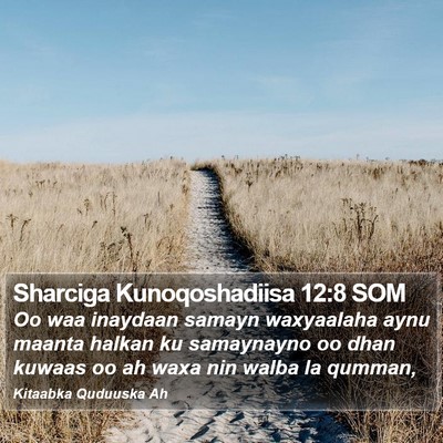 Sharciga Kunoqoshadiisa 12:8 SOM Bible Verse Image