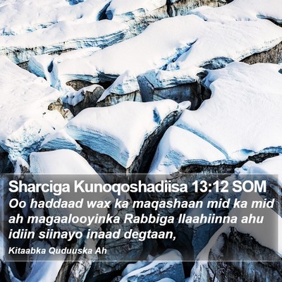 Sharciga Kunoqoshadiisa 13:12 SOM Bible Verse Image