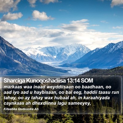 Sharciga Kunoqoshadiisa 13:14 SOM Bible Verse Image