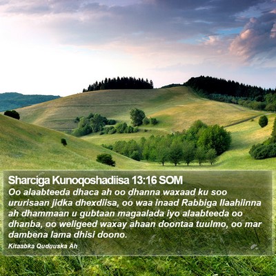 Sharciga Kunoqoshadiisa 13:16 SOM Bible Verse Image