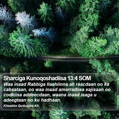 Sharciga Kunoqoshadiisa 13:4 SOM Bible Verse Image