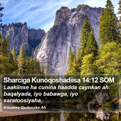 Sharciga Kunoqoshadiisa 14:12 SOM Bible Verse Image