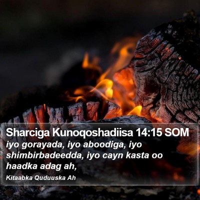 Sharciga Kunoqoshadiisa 14:15 SOM Bible Verse Image