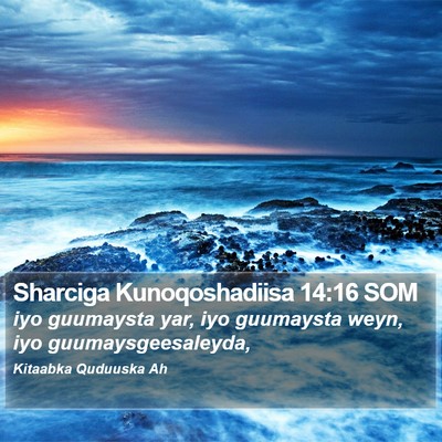 Sharciga Kunoqoshadiisa 14:16 SOM Bible Verse Image