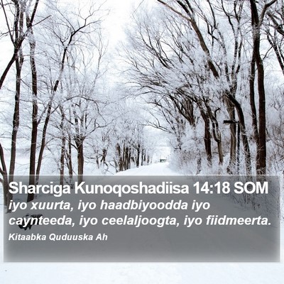Sharciga Kunoqoshadiisa 14:18 SOM Bible Verse Image