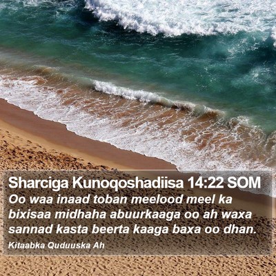 Sharciga Kunoqoshadiisa 14:22 SOM Bible Verse Image